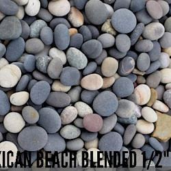 Mexican Beach Blended