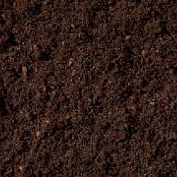 Organic Compost