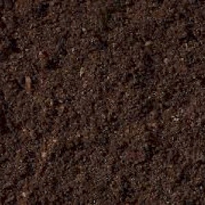 Organic Compost