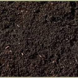 Organic Planting Mix