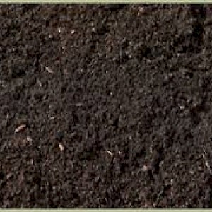 Organic Planting Mix