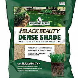 Black Beauty Dense Shade