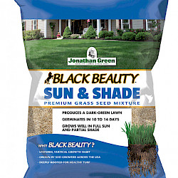 Black Beauty Sun and Shade