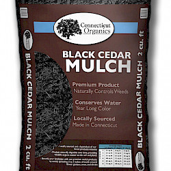 Black Cedar Mulch