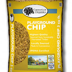 Playground Chip