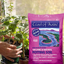 Potting Soil