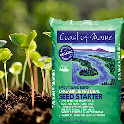 Seed Starter