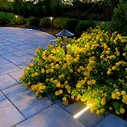 Paver and Path Lighting